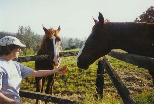 Ziggy and Friends